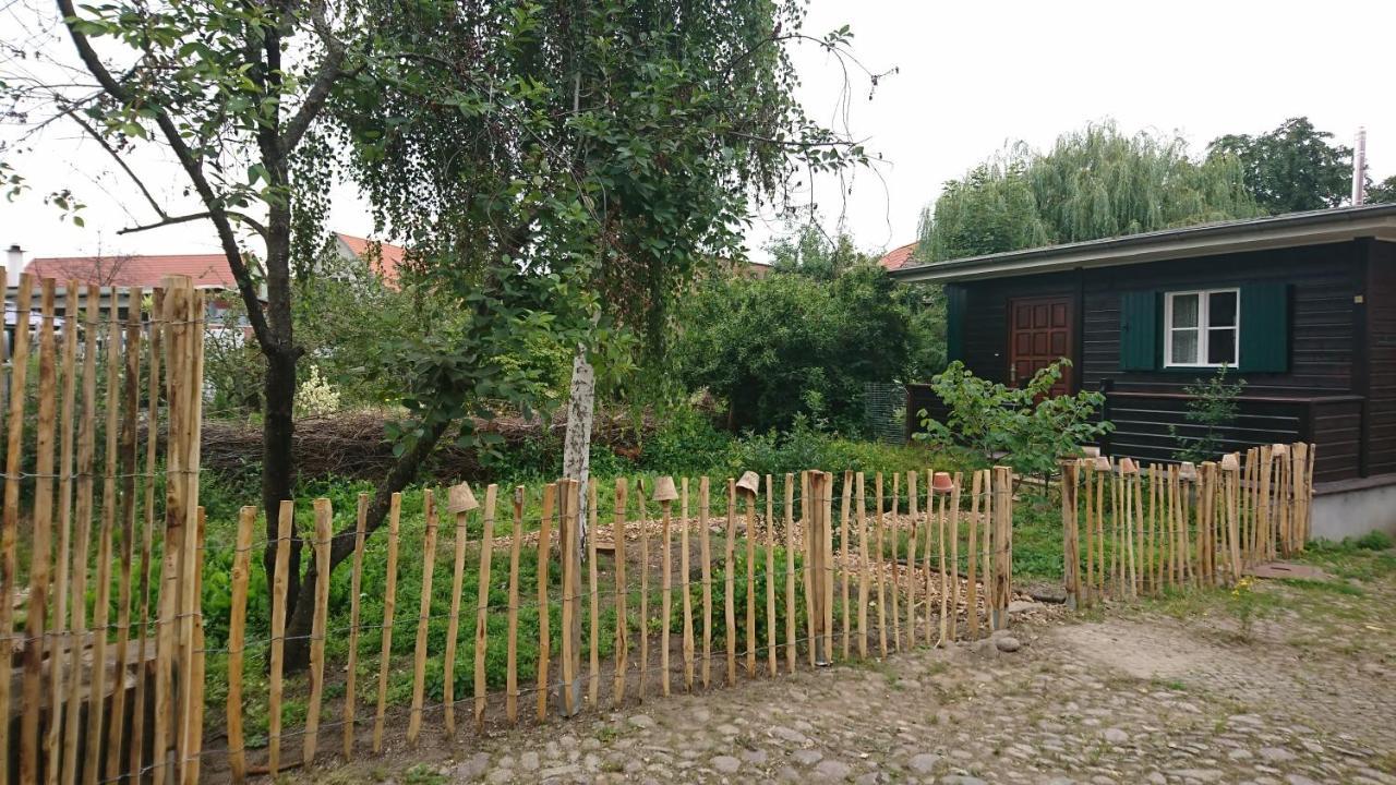 Huette Mit Herz Im Harz Meisdorf Exterior foto