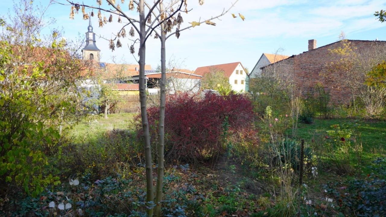 Huette Mit Herz Im Harz Meisdorf Exterior foto